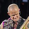 Flea