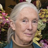 Jane Goodall