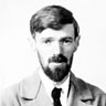 D. H. Lawrence