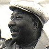 Muddy Waters