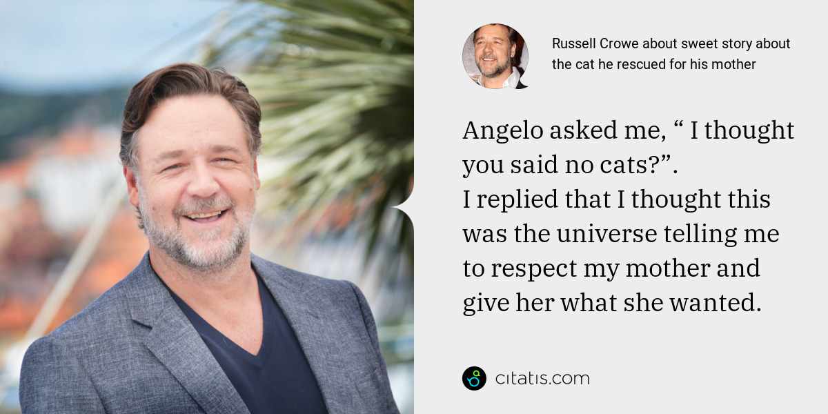 Russell Crowe: Angelo asked me, “ I thought you said no cats?”.
I replied that I thought this was the universe telling me to respect my mother and give her what she wanted.