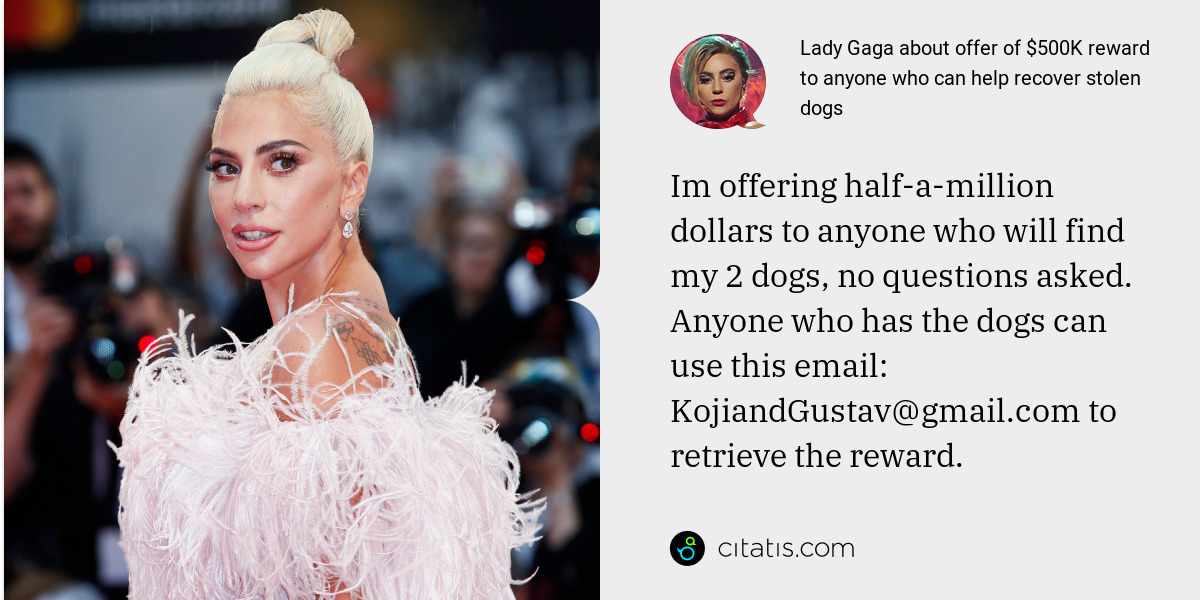 Lady Gaga: Im offering half-a-million dollars to anyone who will find my 2 dogs, no questions asked. Anyone who has the dogs can use this email: KojiandGustav@gmail.com to retrieve the reward.