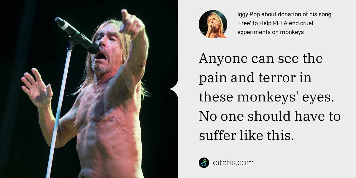 Iggy Pop: Anyone can see the pain and terror in these monkeys' eyes. No one should have to suffer like this.