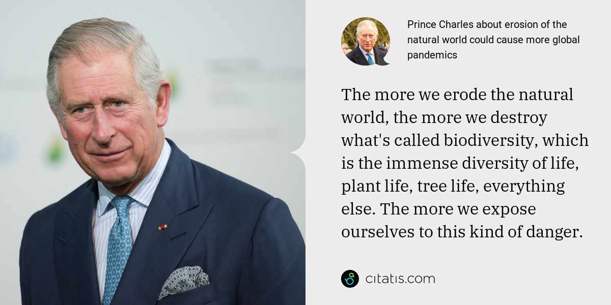 Prince Charles: The more we erode the natural world, the more we destroy what's called biodiversity, which is the immense diversity of life, plant life, tree life, everything else. The more we expose ourselves to this kind of danger.
