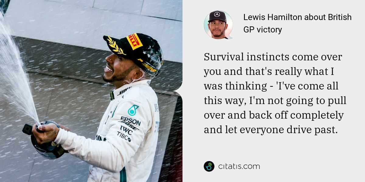 Lewis Hamilton: Survival instincts come over you and that's really what I was thinking - 'I've come all this way, I'm not going to pull over and back off completely and let everyone drive past.