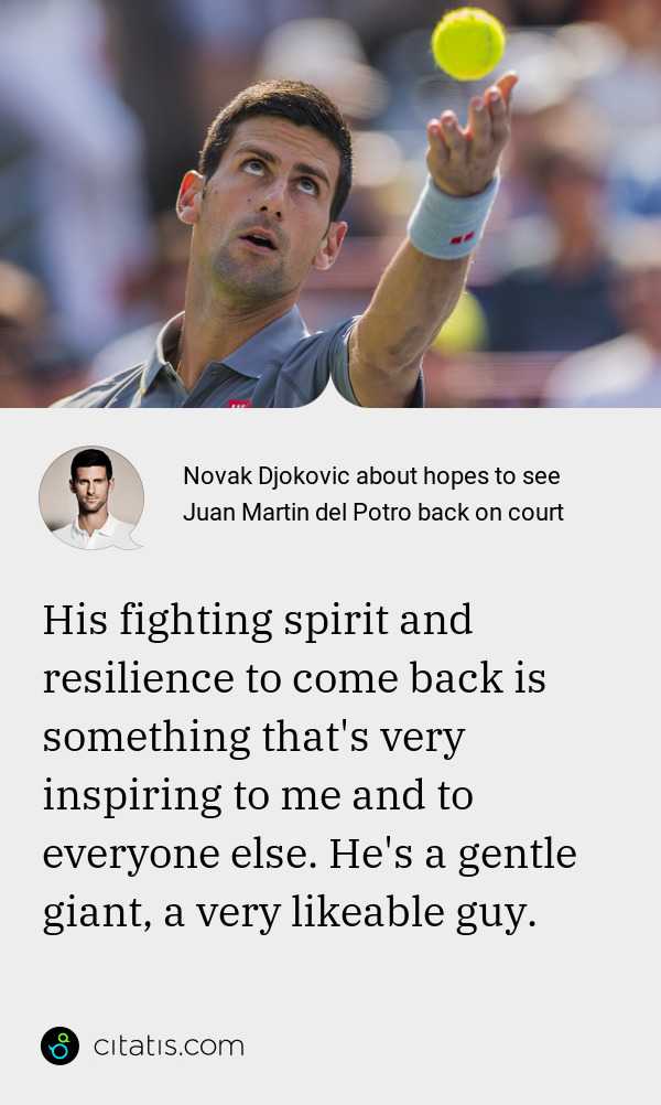 Inspirational Novak Djokovic Quotes : Novak Djokovic ...