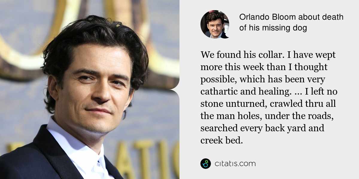 Orlando Bloom: We found his collar. I have wept more this week than I thought possible, which has been very cathartic and healing. ... I left no stone unturned, crawled thru all the man holes, under the roads, searched every back yard and creek bed.
