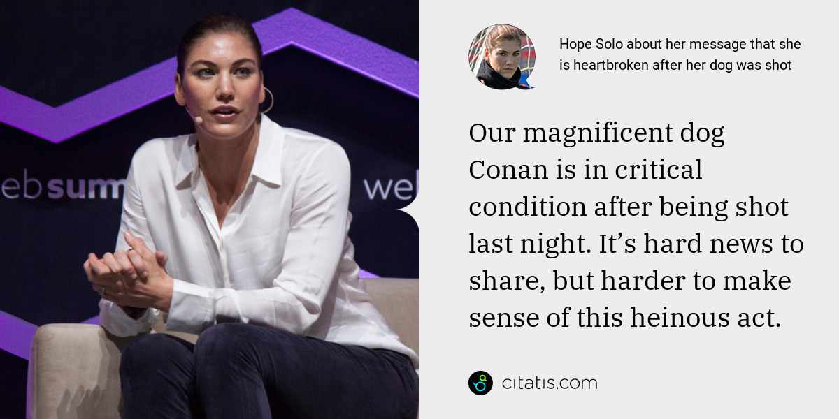 Hope Solo: Our magnificent dog Conan is in critical condition after being shot last night. It’s hard news to share, but harder to make sense of this heinous act.