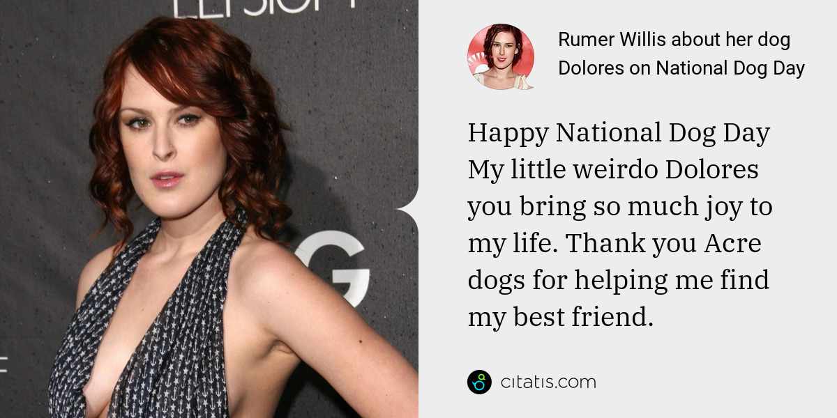 Rumer Willis: Happy National Dog Day
My little weirdo Dolores you bring so much joy to my life. Thank you Acre dogs for helping me find my best friend.