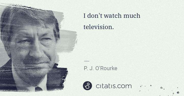 P. J. O'Rourke: I don't watch much television. | Citatis