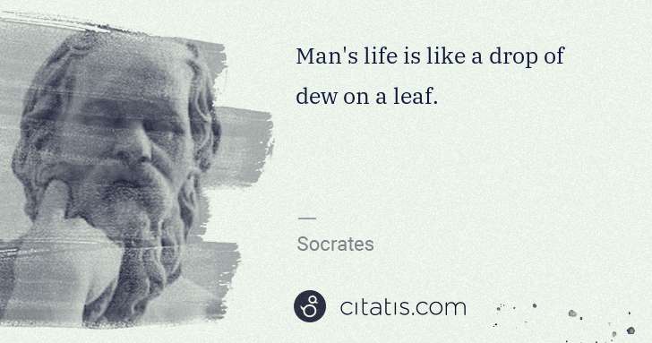 Socrates: Man's life is like a drop of dew on a leaf. | Citatis