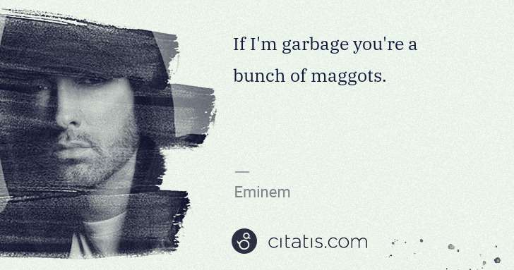 Eminem: If I'm garbage you're a bunch of maggots. | Citatis