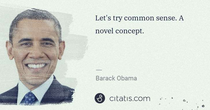 Barack Obama: Let's try common sense. A novel concept. | Citatis