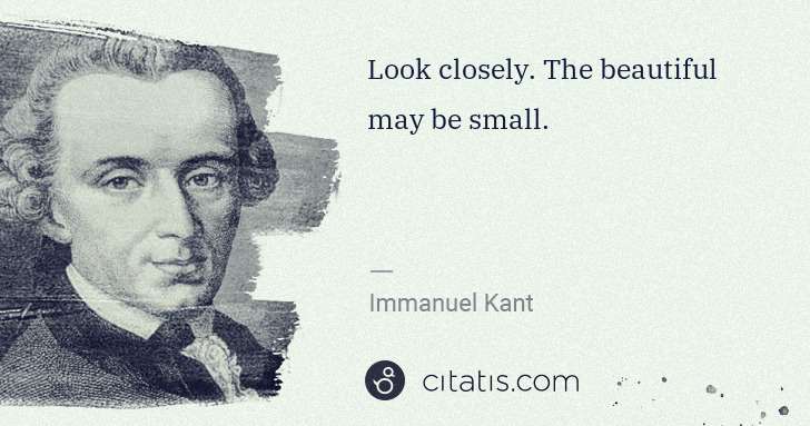 Immanuel Kant: Look closely. The beautiful may be small. | Citatis