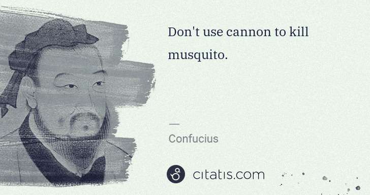 Confucius: Don't use cannon to kill musquito. | Citatis