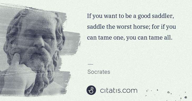 Socrates: If you want to be a good saddler, saddle the worst horse; ... | Citatis