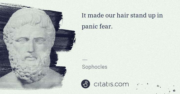 Sophocles: It made our hair stand up in panic fear. | Citatis