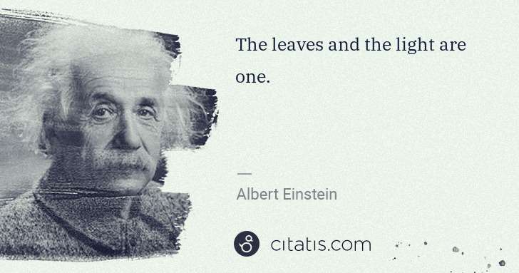 Albert Einstein: The leaves and the light are one. | Citatis
